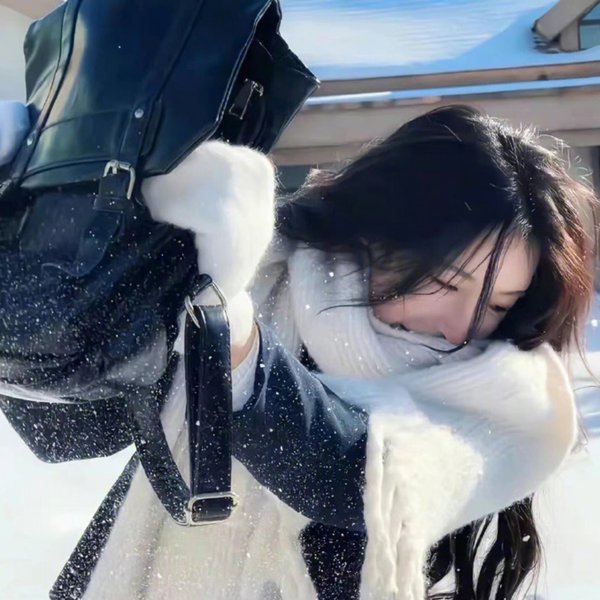 极岛森林第二季